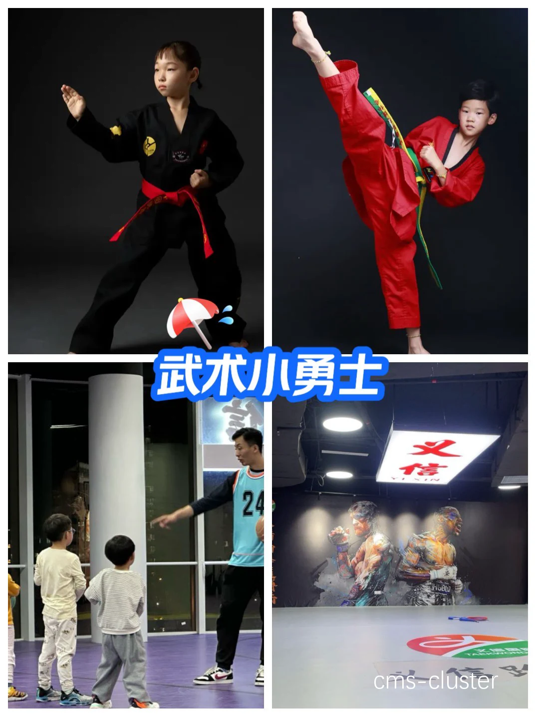 为什么武术馆适合进行青少年篮球培训