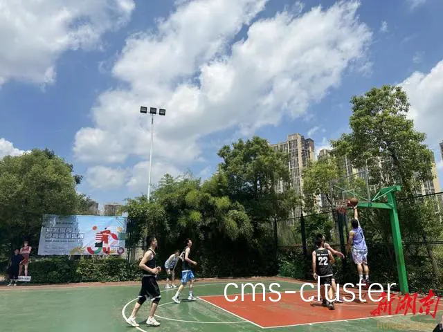 如何通过艺术表演增强篮球场地的社区凝聚力
