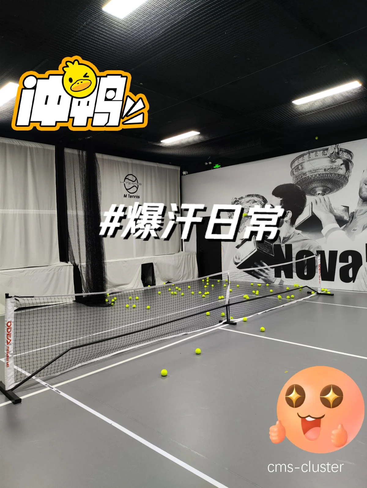 如何在比赛日使用篮球场VIP包厢?