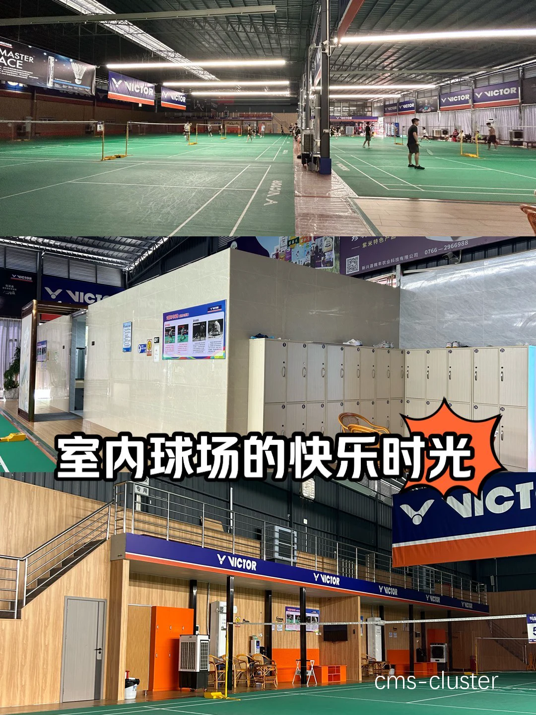 如何为室内球场选择合适的空调系统