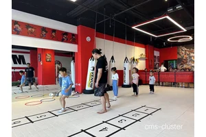  亲子篮球活动推荐：选择适合的散打馆，提升孩子运动体验
