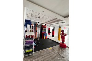  如何在篮球场旁边的散打馆进行高效训练：技巧、策略与经验分享
