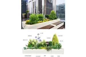  为什么篮球场需要种植花卉来提升环境：绿色运动空间的创新策略