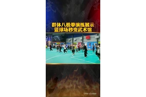  如何在武术馆内创建多功能篮球区域：打造高效、安全的运动空间