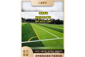  如何延长篮球场草坪的使用寿命：科学养护与创新策略