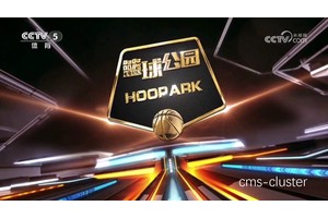  如何找到适合篮球馆的电影放映技术：全面指南与最佳策略
