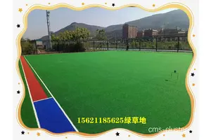  为什么篮球场需要使用特定类型的草坪：专业与创新的解决方案