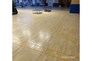  老年人打篮球时适合什么样的木地板场地？选择与维护全攻略