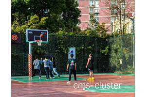  如何打造社区居民喜爱的室外篮球场：设计与维护的最佳策略