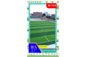  篮球场周边花坛如何提升空气质量：策略与效果分析
