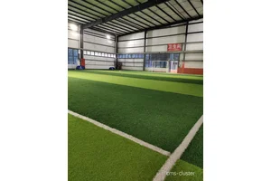  如何找到提供足球场和篮球场转换服务的公司：全面指南与实用建议
