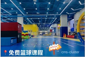  青少年篮球爱好者使用的篮球场地会员系统有哪些功能？
