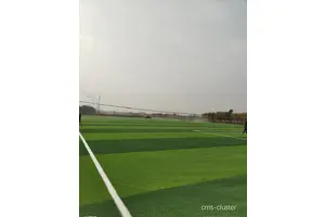  如何维护篮球场上的草坪以确保最佳性能：专业指南与实用技巧