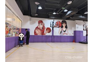  如何将篮球场地用于艺术表演教育：创新与实践的完美结合