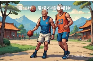  如何让老年人在篮球场地观看和参与艺术表演：策略与建议