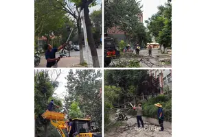 如何选择适合社区篮球场管理人员的修剪工具：两种方法的比较与推荐