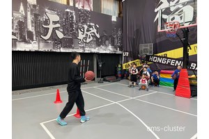  青少年篮球训练：选择武术馆还是专业篮球馆？——解析最佳训练环境