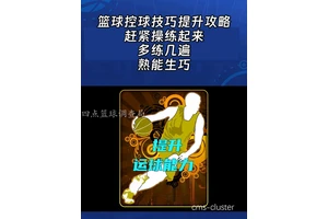  青少年篮球训练营如何利用自动化控制系统提高效率？