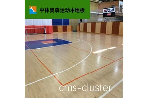  如何有效解决篮球场地地板噪音问题：最佳方法与策略