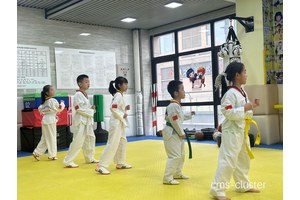  为什么跆拳道馆适合进行小型篮球比赛：探索独特优势与最佳策略