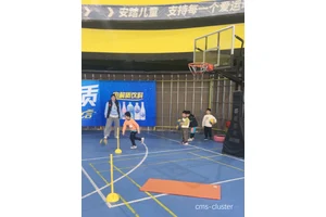  如何通过花坛提升篮球场地的品牌形象：策略与实践