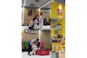  如何利用跆拳道馆的空间进行篮球训练：策略与实践