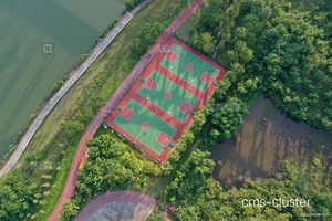  如何选择适合篮球场地的景观植物？——打造完美运动环境的秘诀