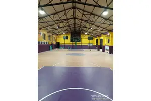  如何用修剪工具保持篮球场地的整洁美观：实用技巧与最新趋势