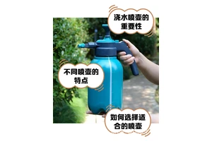  如何选择适合篮球场的浇水工具：全面指南与最新趋势