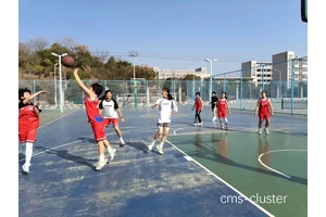  如何有效维护青少年篮球训练营的草坪：关键技巧与策略