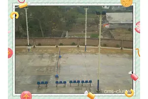  如何在草地上设置临时篮球架：实用指南与最佳策略