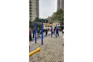  老年人健身篮球场地绿化的关键性与策略选择