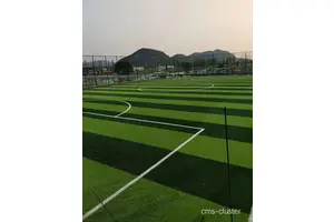  为什么选择人造草坪而不是天然草坪用于篮球场