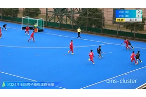  青少年篮球爱好者如何找到曲棍球场：全面指南与策略