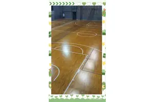  如何评估篮球场地地板的质量：专业指南与实用建议