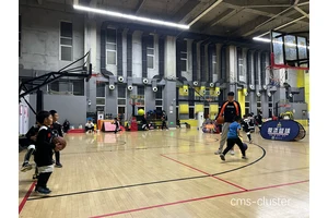  上班族最喜欢的武术馆篮球设施特点：选择与优化