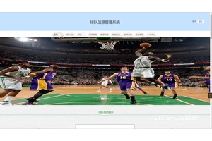  篮球赛事主办方如何借助远程监控系统保障安全？