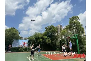  如何通过艺术表演增强篮球场地的社区凝聚力：创新策略与实践经验