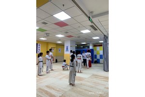  如何找到适合篮球活动的跆拳道馆：全面指南与实用建议