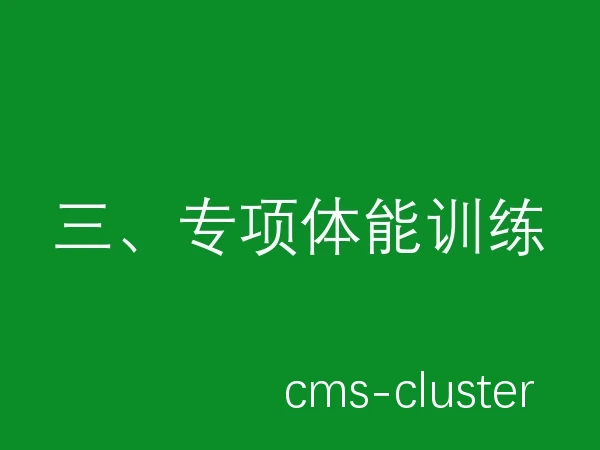 三、专项体能训练