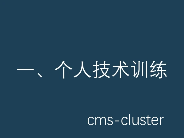 一、个人技术训练