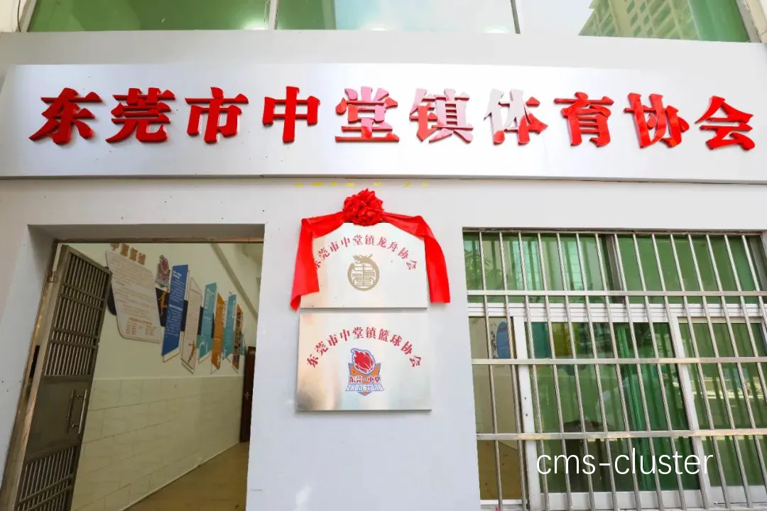 如何优化龙舟场篮球设施以吸引更多人参与