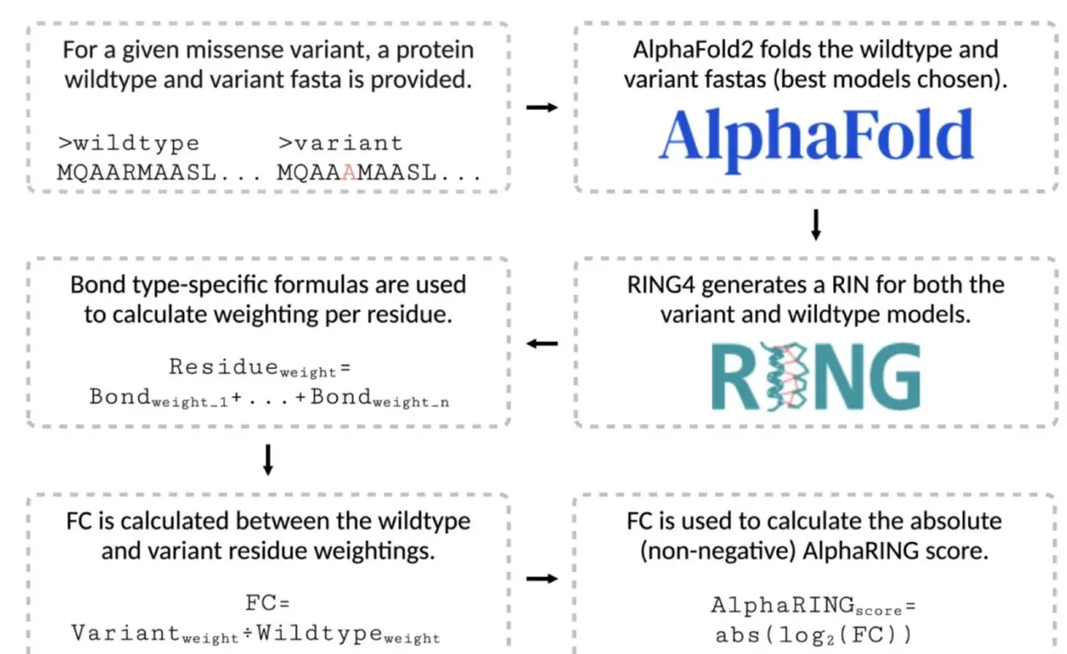 Alpha Strategies for Beginner Traders_2