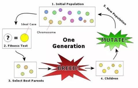 Genetic algorithm tools for young investors_0