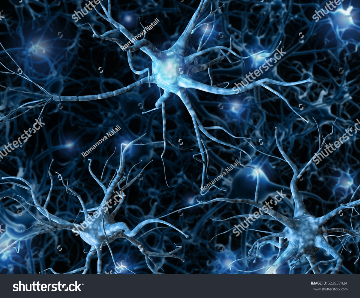 how to build neural network models for trading_1