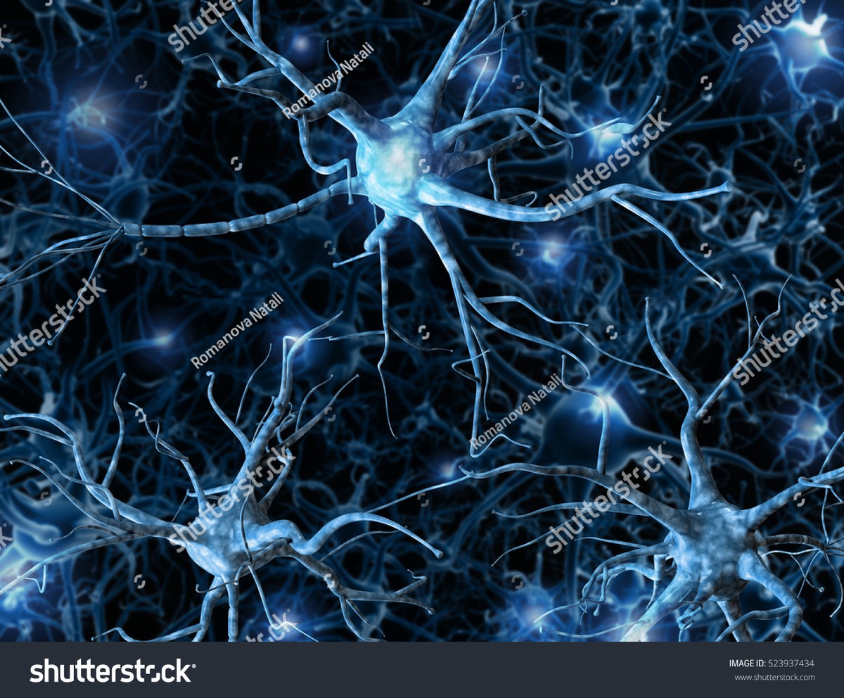 neural network models for stock prediction_1