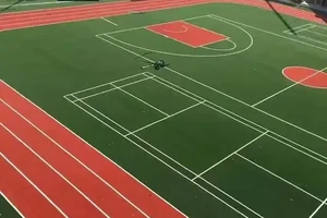  为什么定期维护篮球场草坪能延长使用寿命