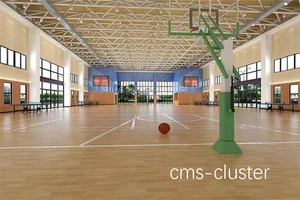  如何选择学校篮球馆的木地板？两种方法的深度对比与推荐