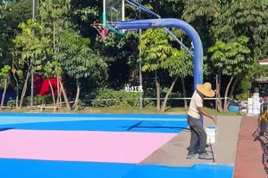  如何改造草地以适应篮球比赛需求：全面指南与实用建议