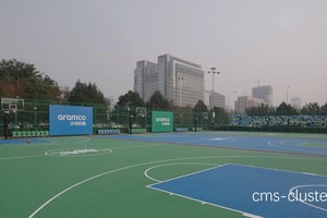  篮球场花卉装饰的环保解决方案：打造绿色运动空间